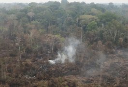 Delegado da PF diz que há indícios de ação coordenada em incêndios