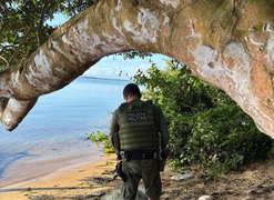 Em seis dias, operação policial apreendeu 15 armas de fogo e resgataram mais de 650 animais, em Alagoas