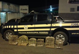 Polícia Rodoviária Federal prende cinco pessoas no Sertão de Alagoas