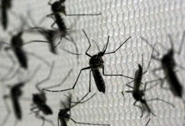 Juíza determina que Estado entregue remédios para crianças com síndrome do Zika