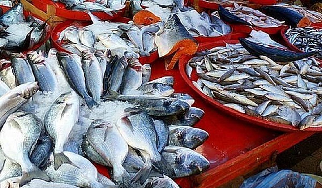 Após comerem peixe, duas pessoas são internadas em Maceió com suspeita da doença da urina preta
