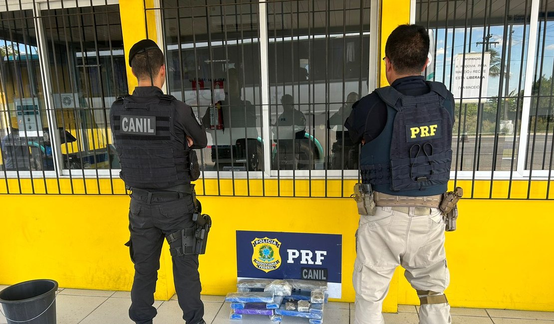 Canil do 3º Batalhão e PRF apreendem mais de 12kg de maconha em ônibus interestadual no Agreste de AL