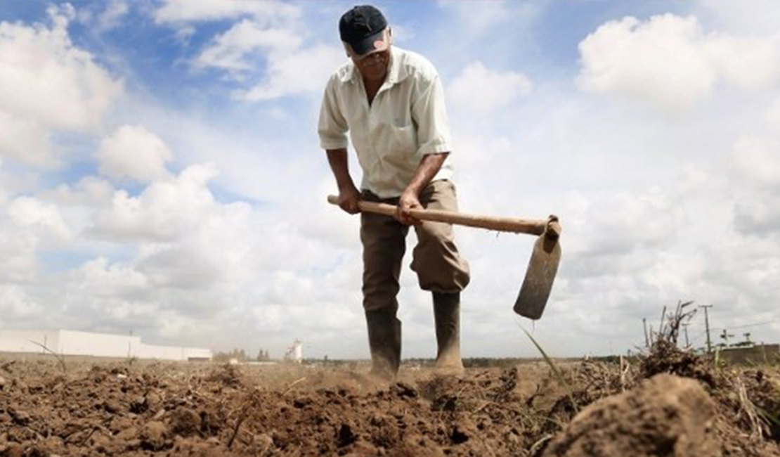 Sobe para 45 o nº de municípios de Alagoas em emergência pela seca