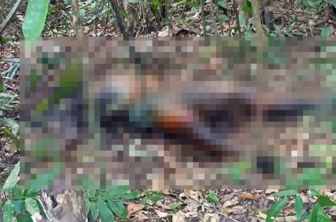 Cadáver em estado avançado de decomposição é localizado em matagal no interior alagoano