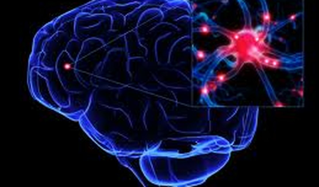 Mal de Alzheimer, Mal de Parkinson e outras doenças causam perda da memória