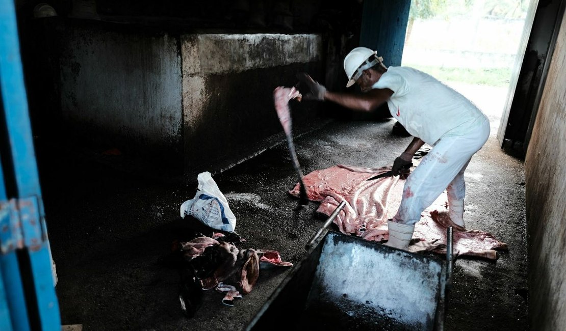 FPI do São Francisco interdita matadouro em Coruripe