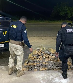Cinco são presos e 170 kg de maconha apreendidos pela DEIC e PRF em São Sebastião
