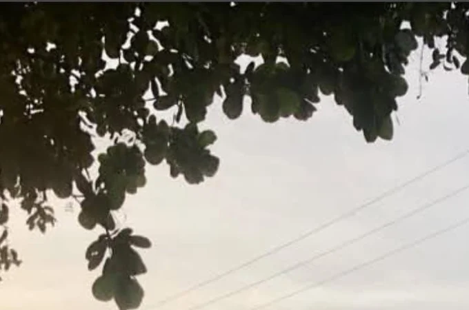 Moradores do Graciliano Ramos denunciam irregularidades em associação de bairro