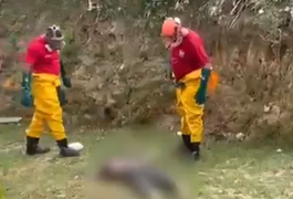 Corpo é encontrado em riacho do Reginaldo, em Maceió