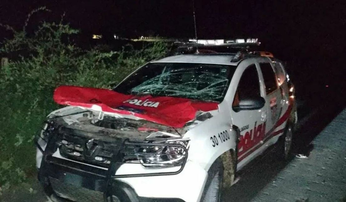 Policiais são surpreendidos por cavalo solto na pista e viatura atinge animal, no Sertão de AL