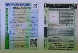 Porte de CNH pode deixar de ser obrigatório