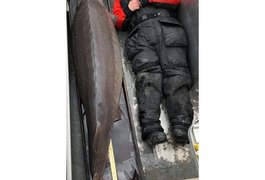 'Monstro do rio' com mais de 109 kg e de 100 anos é pescado nos EUA