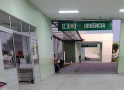 Cavalos soltos na rodovia causam acidentes na AL 115, em Arapiraca