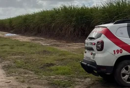 Ossada humana é encontrada às margens da BR-101 em Pilar