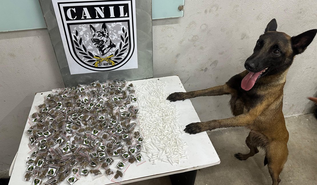 Canil da PM apreende 350 porções de maconha e 420 pinos de cocaína em área de mata em Arapiraca