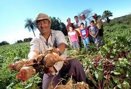 Com investimento de R$ 2 milhões, agricultura familiar irá abastecer hospitais alagoanos