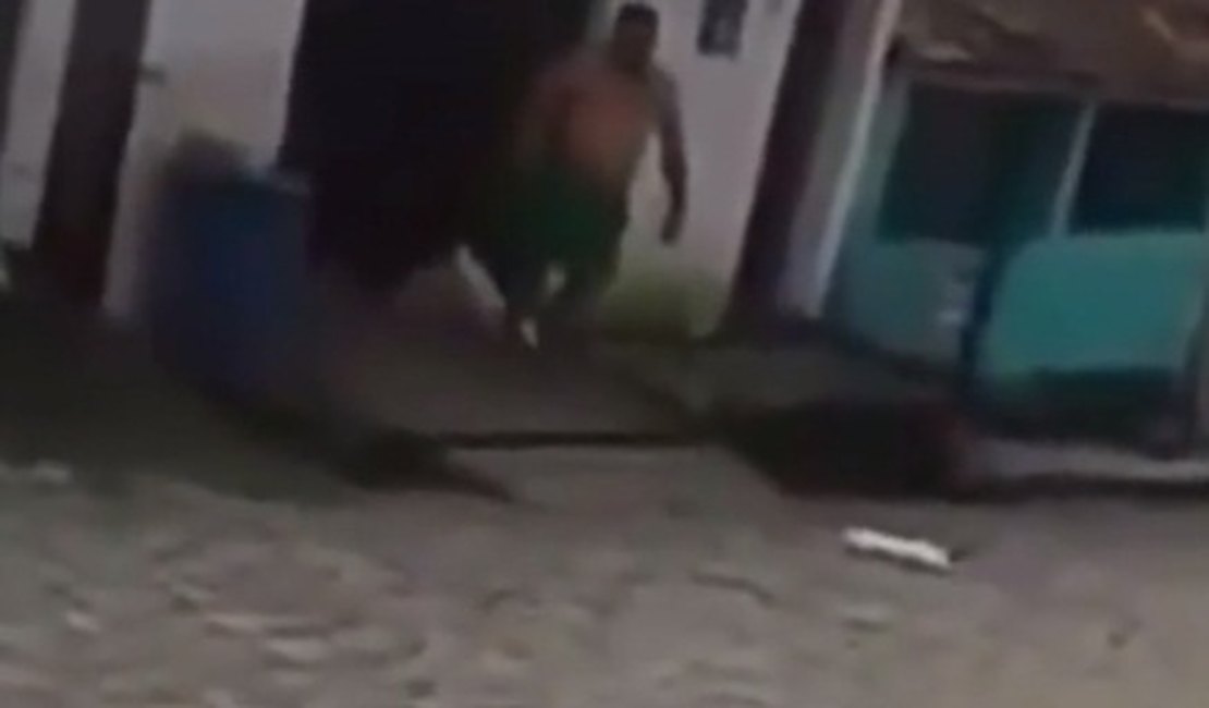 Homem é preso ao ser filmado matando gata a pauladas em Cajueiro