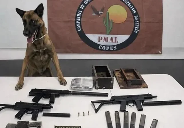 Copes apreende armas de grosso calibre e quase 2 kg de drogas em ônibus na BR-316, no Sertão de Alagoas