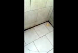 Sindicato denuncia insalubridade na Delegacia de Batalha, em Alagoas