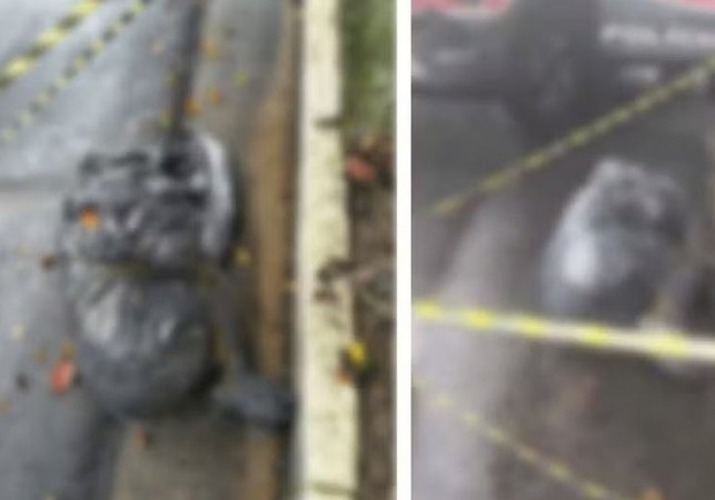 Polícia apura série de mortes suspeitas de execução em SP; corpos foram ensacados, decapitados ou queimados