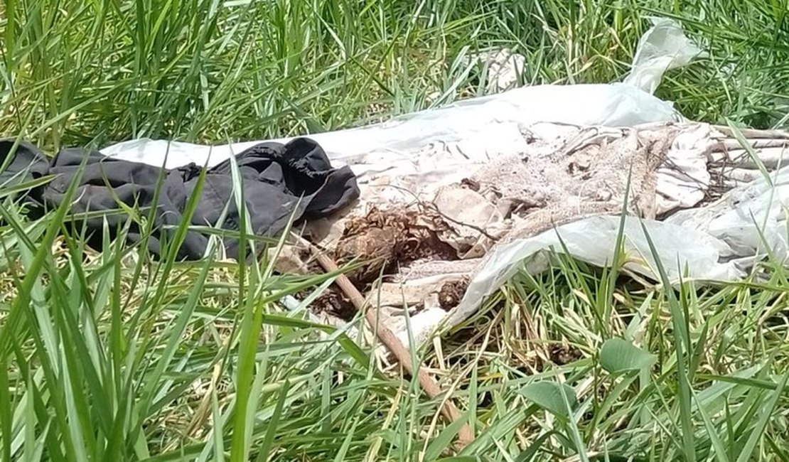 Polícia esclarece que caixão com restos mortais foi descartado para desocupar túmulo, no interior de Alagoas