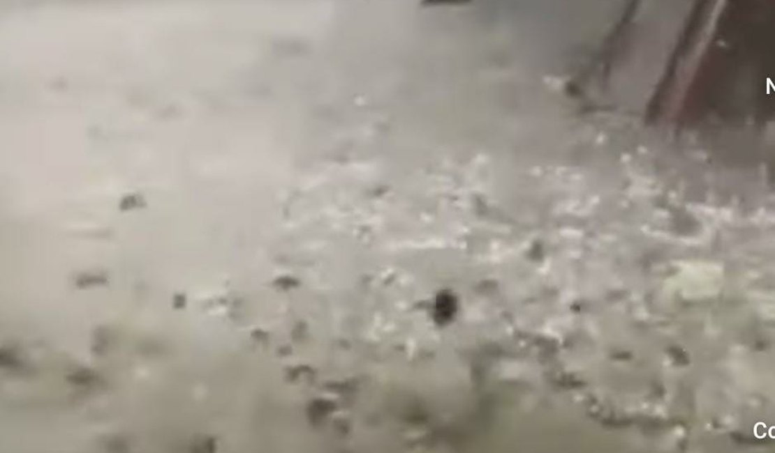 VÍDEO: Forte chuva de granizo assusta moradores do Agreste de Pernambuco