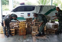 Batalhão Ambiental apreende mais de 200 aves em Arapiraca