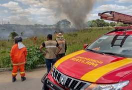 Vídeo. Incêndio em vegetação assusta moradores às margens da AL-220, em Arapiraca