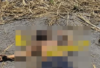Após ser retirado de casa, homem é encontrado morto em canavial na parte alta de Maceió