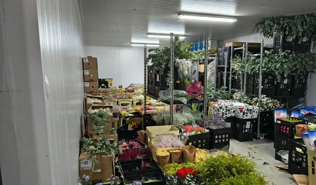 Sefaz encontra R$ 100 mil em flores sem nota fiscal em depósito irregular em Alagoas