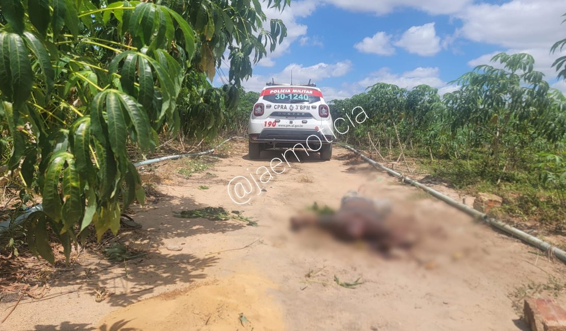 Homem é morto com tijoladas na cabeça em plantação de macaxeira em Arapiraca