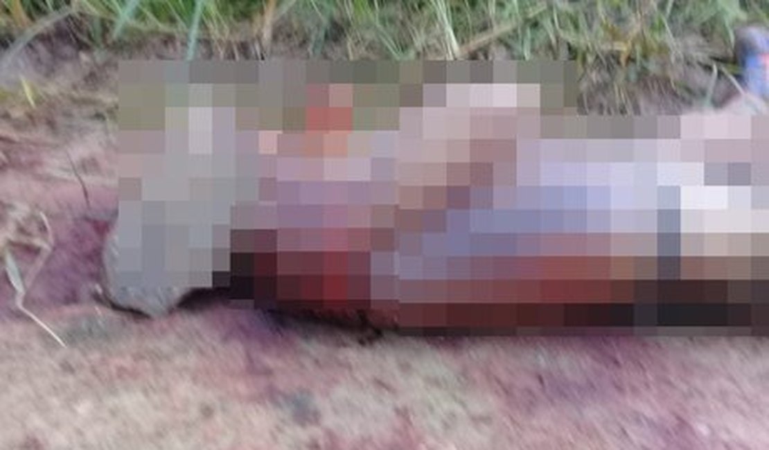 Homem é assassinado a facadas e pedradas no interior de Alagoas