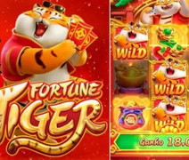 Governo avalia que Fortune Tiger pode ser liberado no Brasil e vai tentar bloquear acesso a sites do exterior