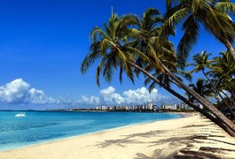 Ministério Público Federal investigará poluição em praias de Alagoas