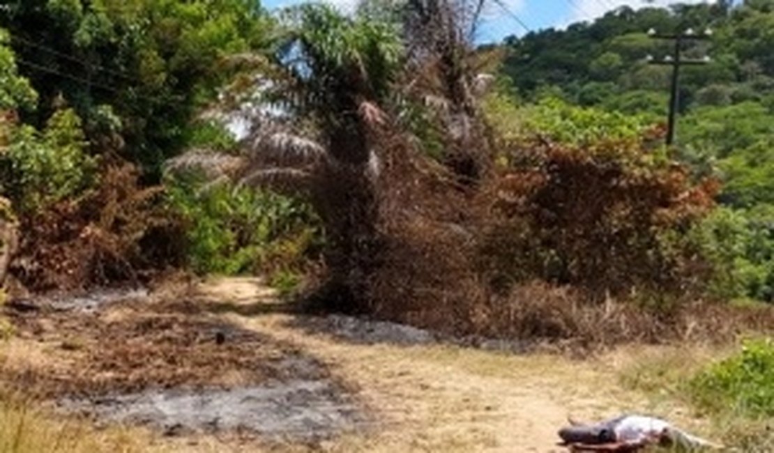 Corpo com marcas de tiros é encontrado em Marechal Deodoro