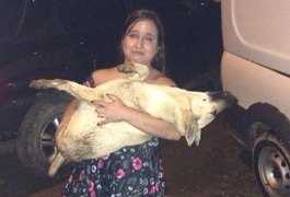 Fogos de artifício matam cachorro; postagem viraliza na internet