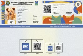 É falso que governo vá cobrar imposto sobre pets: novo sistema SinPatinhas é gratuito e voluntário