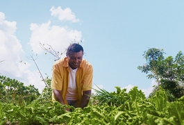 Programa Garantia-Safra libera pagamento para 10 mil agricultores alagoanos