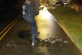 Bandidos explodem agência do Bradesco em São Miguel dos Milagres
