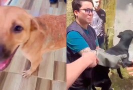 Polícia Civil resgata cães em situação de maus-tratos em Rio Largo; assista