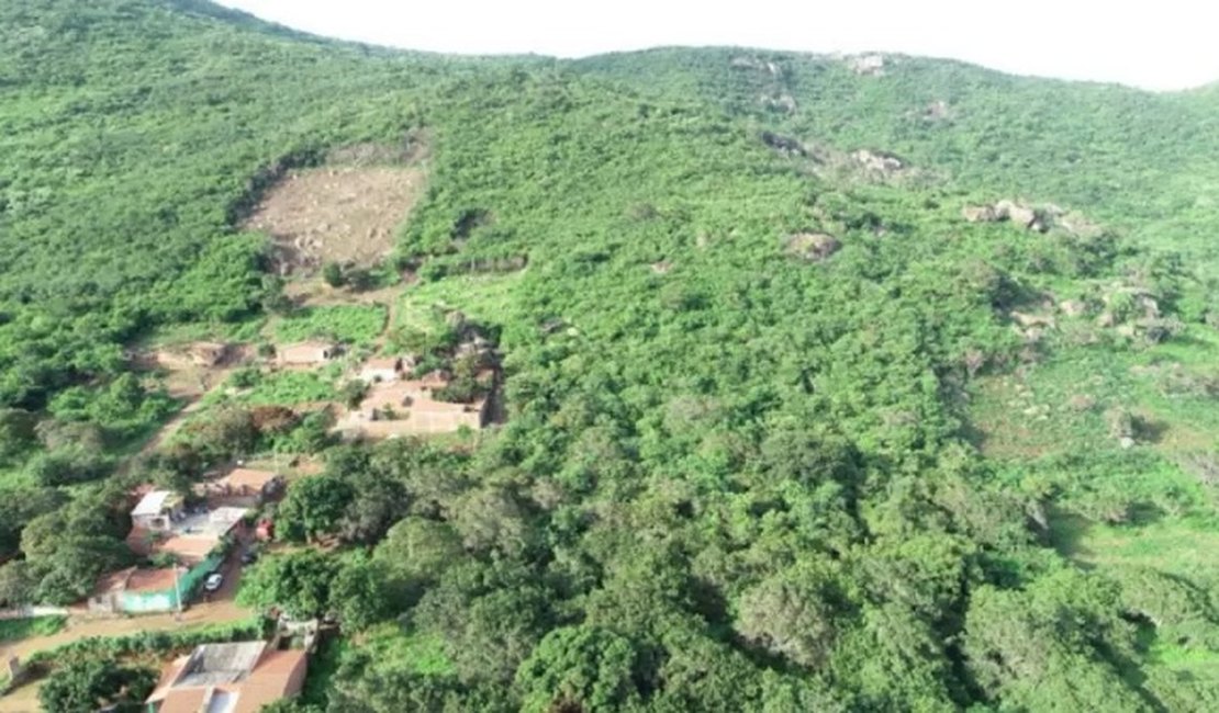 Idosa de 75 anos se perde em mata e sobrevive 7 dias comendo capim