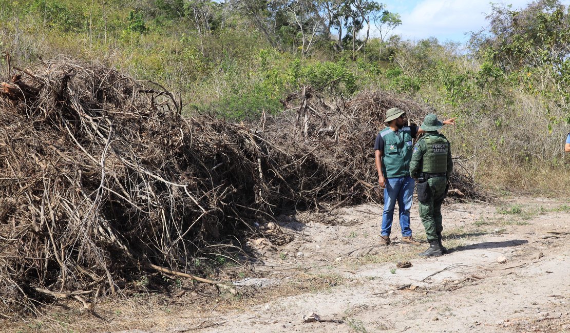 Fiscalização embarga áreas desmatadas que equivalem a 419 campos de futebol em Limoeiro de Anadia, Olho d'Água Grande e São Brás