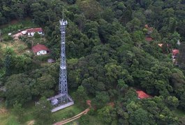 STF considera inconstitucionais leis estaduais que bloqueiam celulares em presídios