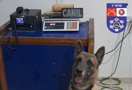 Cão farejador localiza sacola com maconha em terreno no bairro Manoel Teles