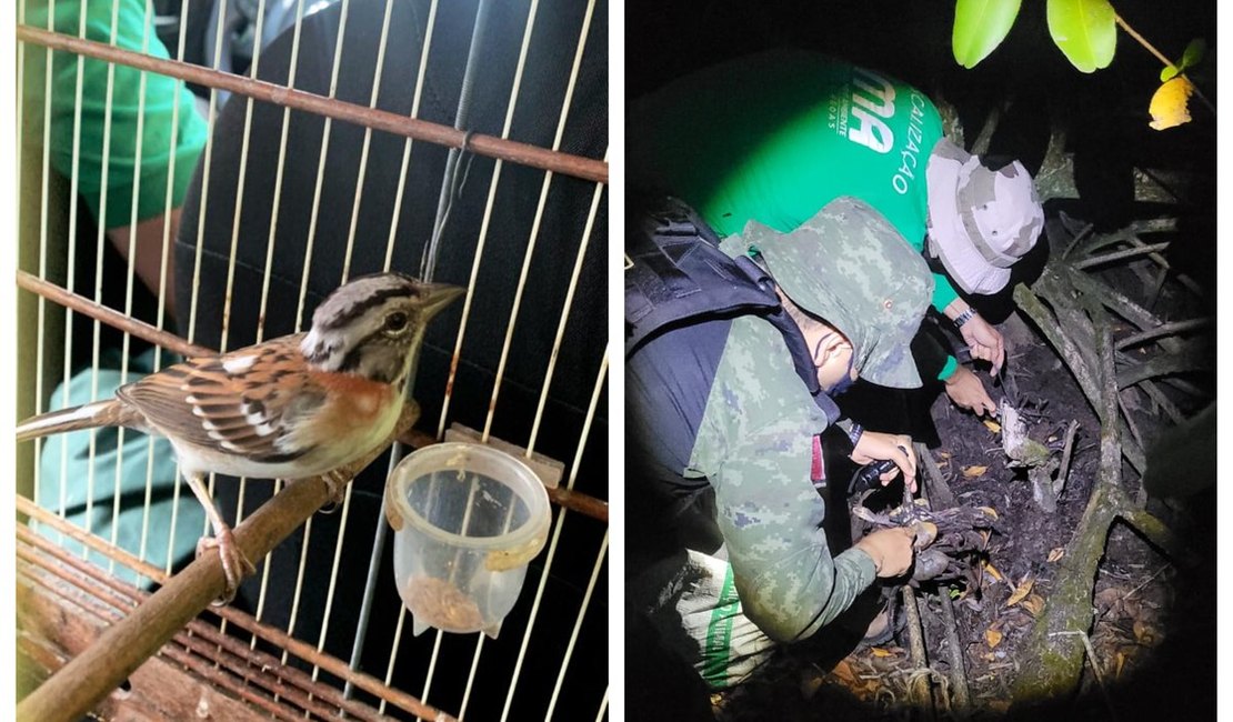 Duas pessoas são autuadas por manter animais silvestres em cativeiro em Arapiraca