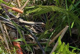 Equatorial flagra furto de energia que atenderia 120 casas por um mês