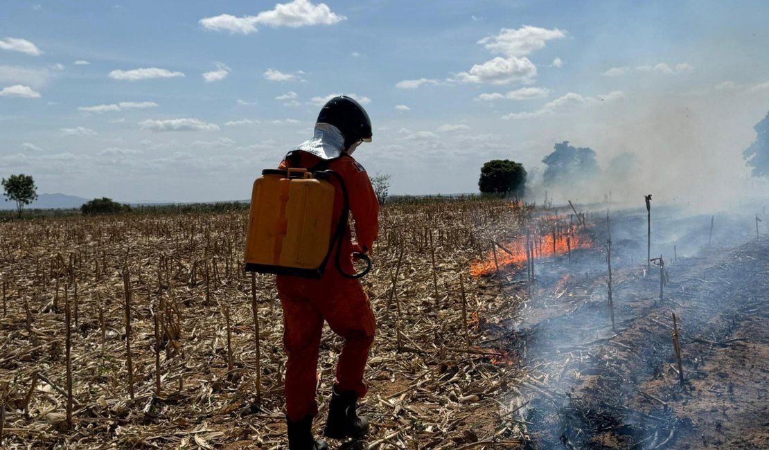 Corpo de Bombeiros registra aumento de 80% nos incêndios em vegetação em Alagoas