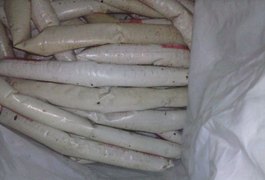 Polícia diz que explosivos achados em Colônia foram comprados pela prefeitura