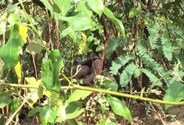 Corpo é encontrado com bilhete: 'Morreu porque roubou a igreja'