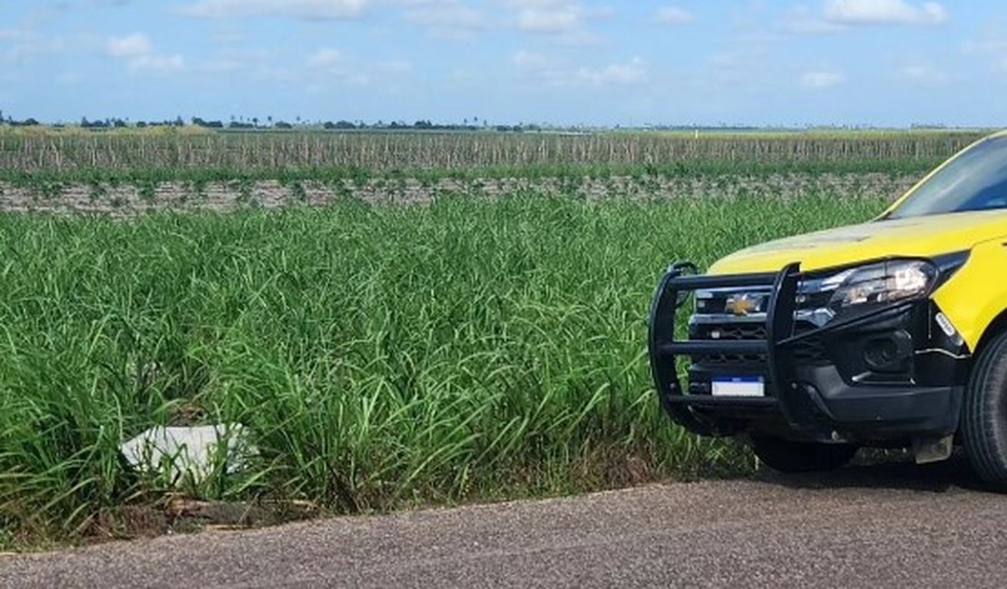 Corpo de homem morto com diversos golpes de facão é encontrado em canavial, em Penedo